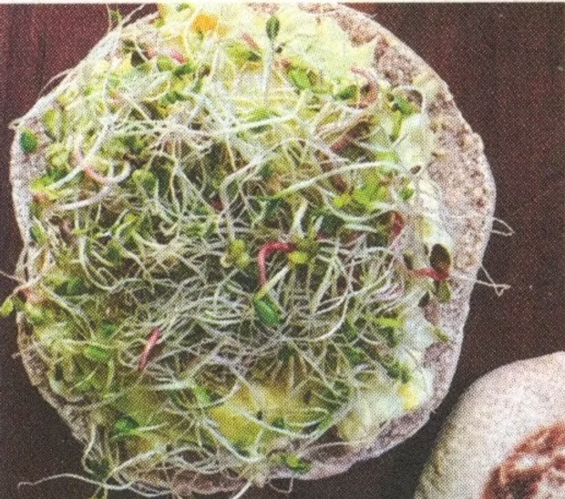 Avocado Egg Salad on Pita